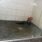 Before Shower Clean Before Shower Clean