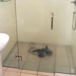 Before Shower Clean Before Shower Clean